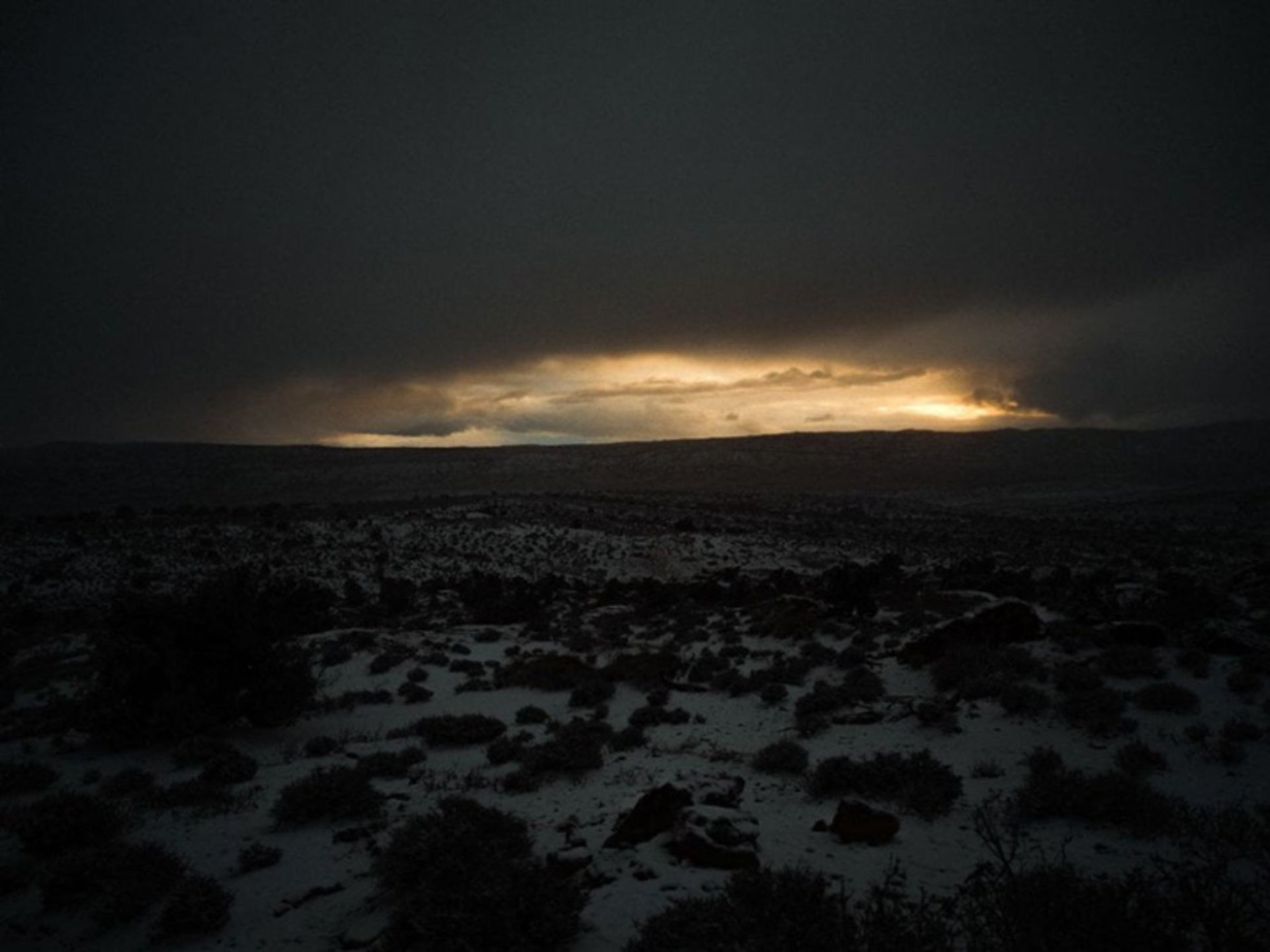 منظره شبانه صحرا در آمریکا