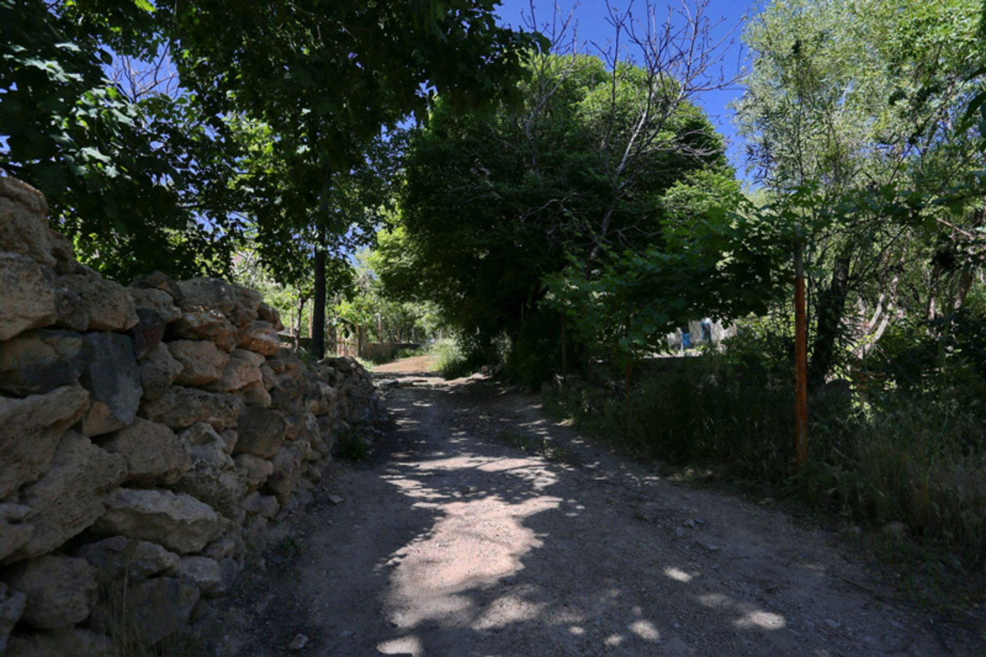 کوچه‌باغی در دلیجان