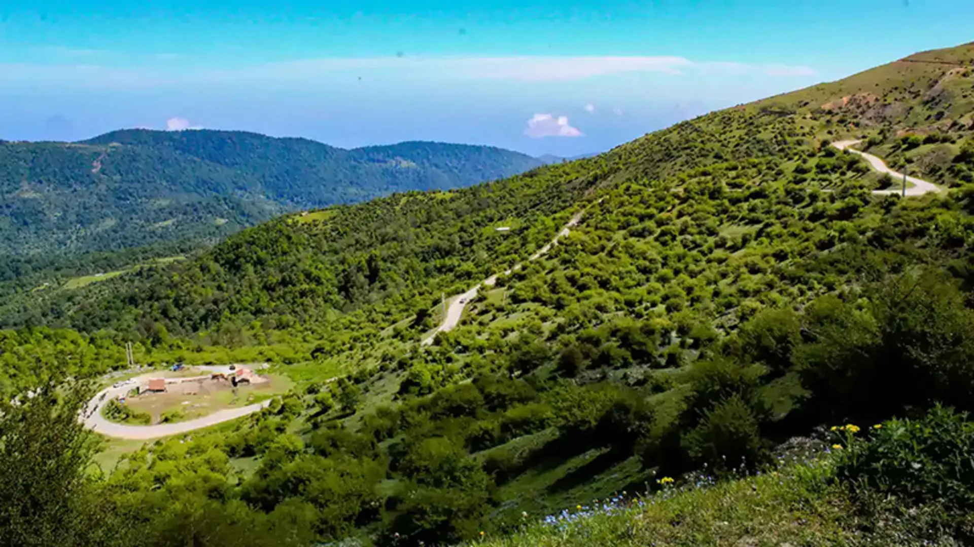 جاده پیچ در پیچ فیلبند