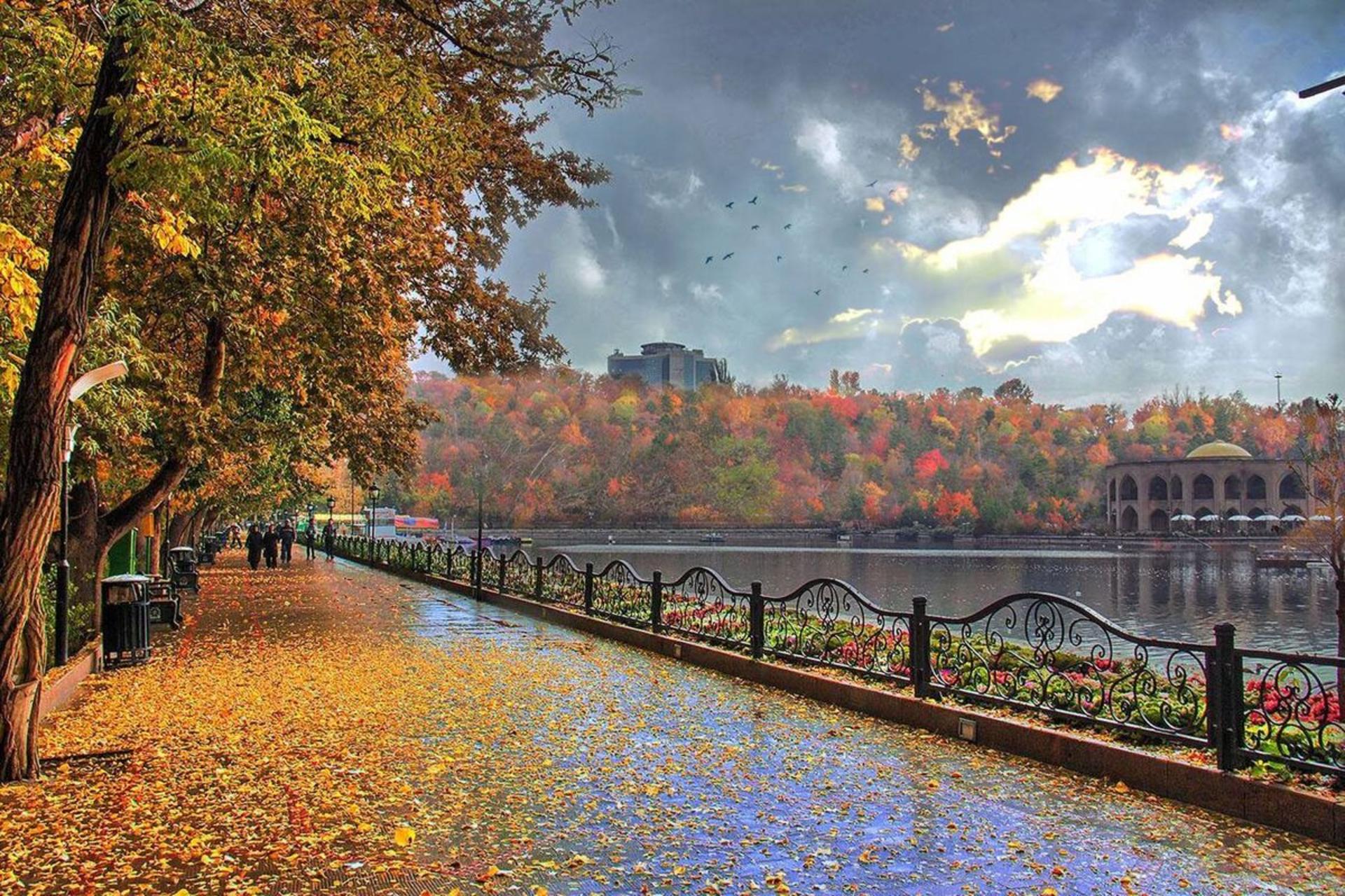 طبیعت پاییزی پارک ائل گلی با آسمان ابری