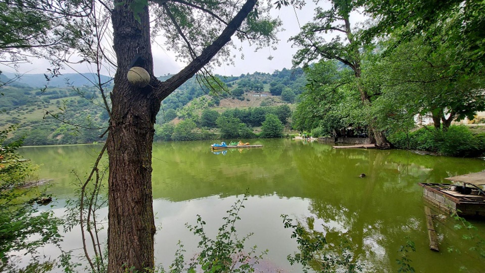 طبیعت سرسبز دریاچه شورمست