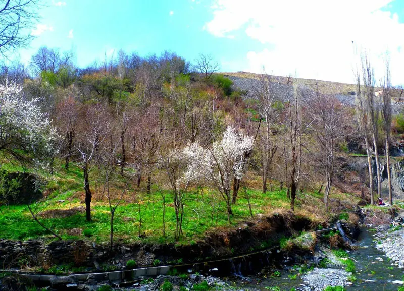 طبیعت روستای ازغد