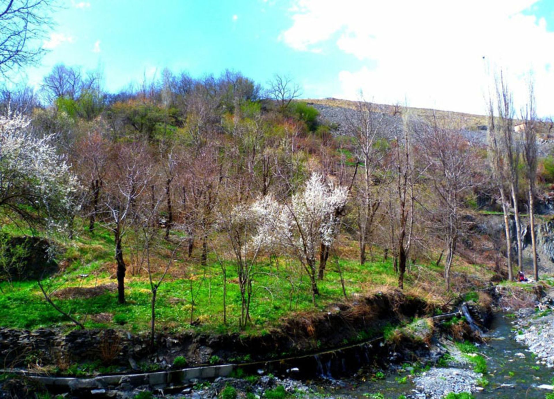 طبیعت روستای ازغد
