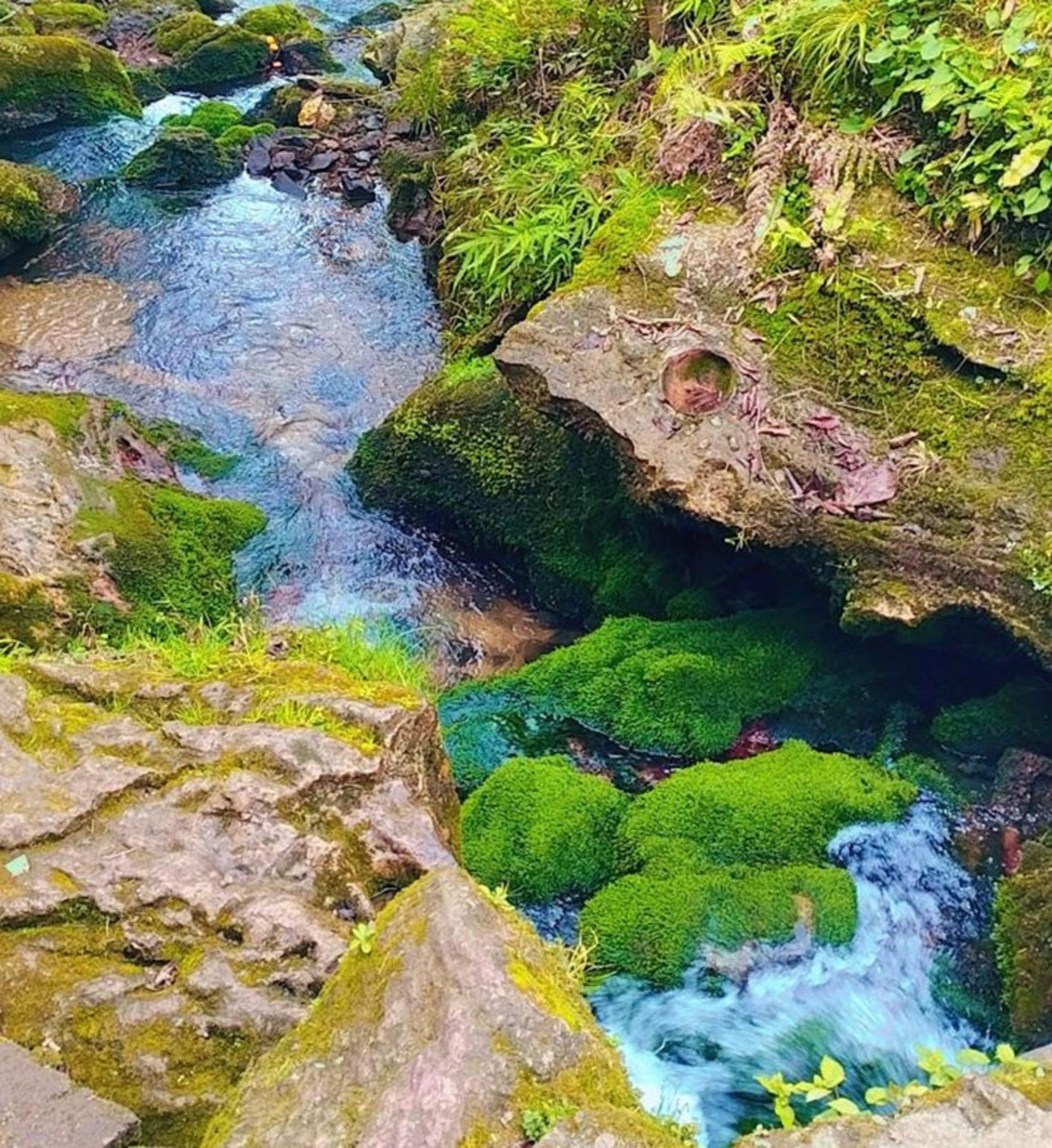 جریان آب چشمه دمکش چابکسر
