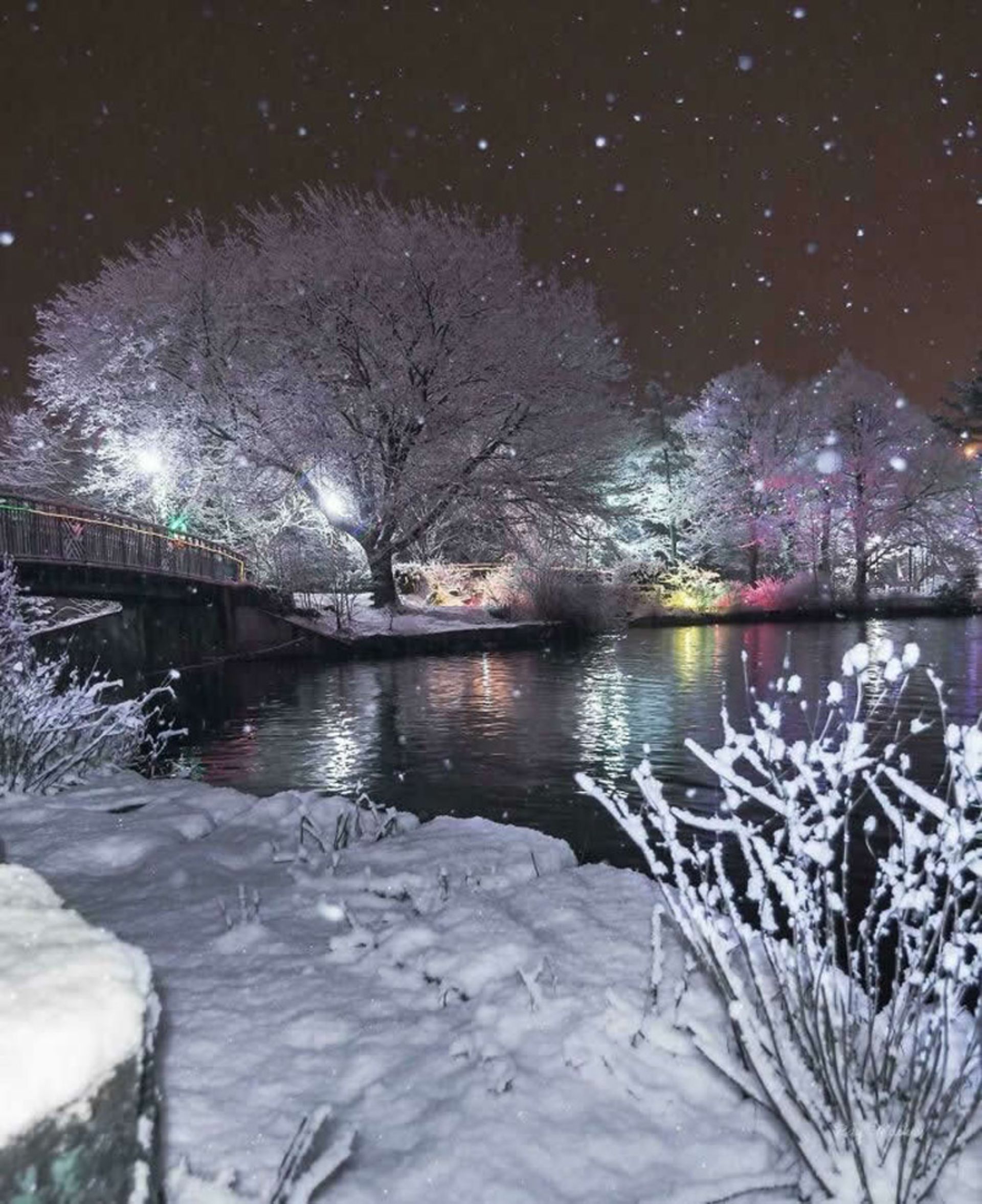 بارش برف در دریاچه کانادا