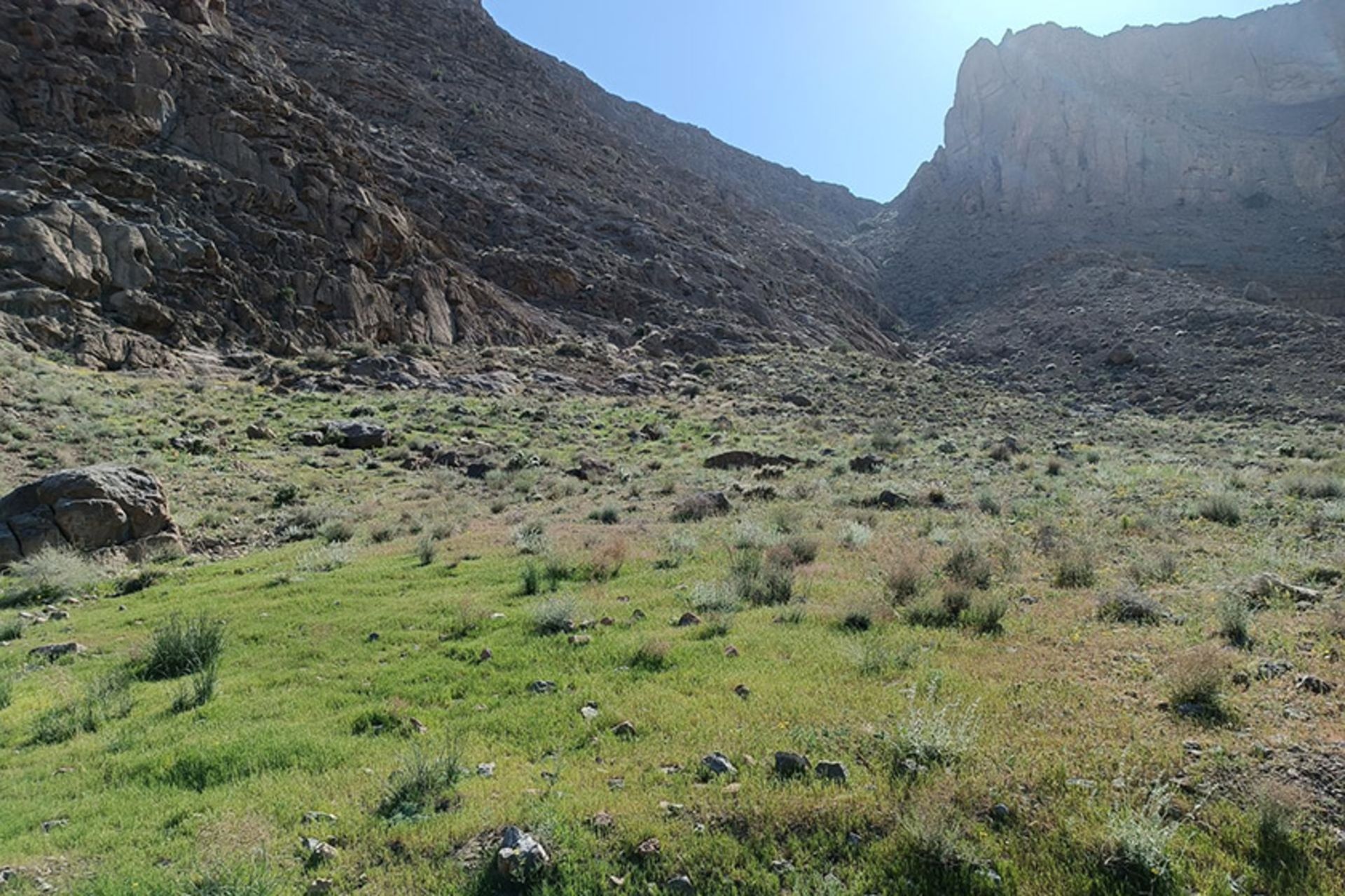 دامنه سرسبز کوه ها در پارک ملی کلاه قاضی