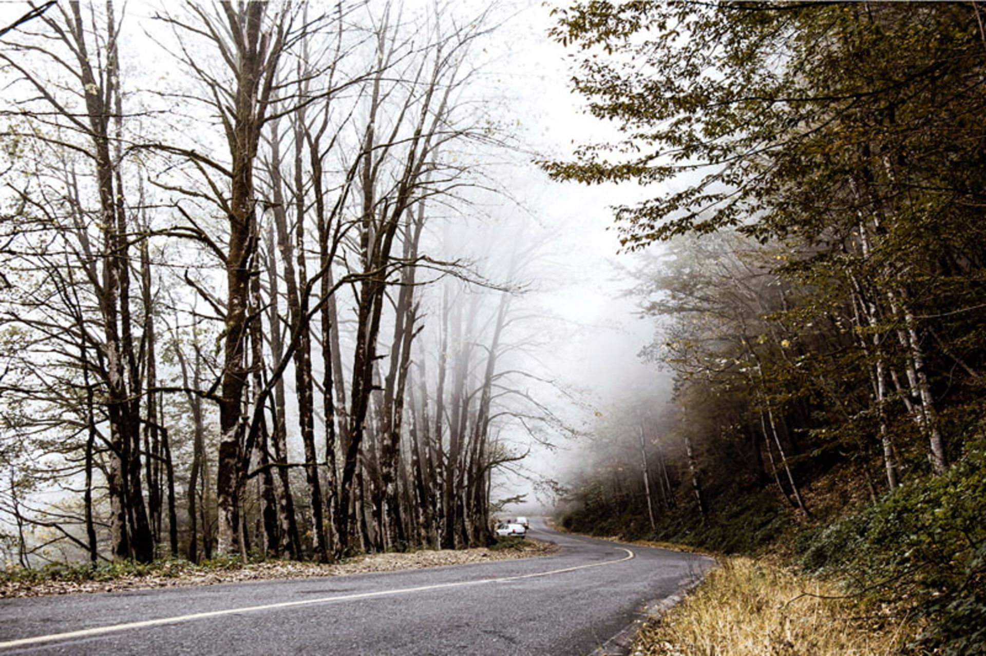 جاده جنگلی اسالم به خلخال در پاییز