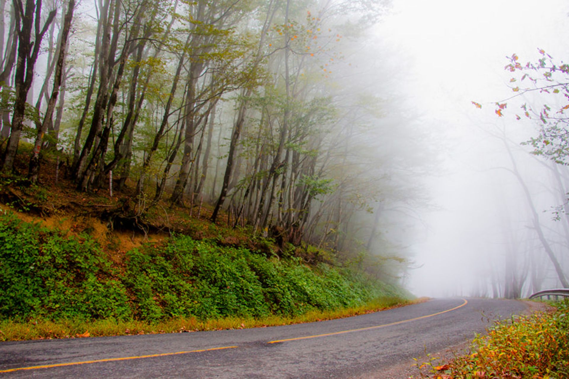 جاده مه آلود اسالم به خلخال