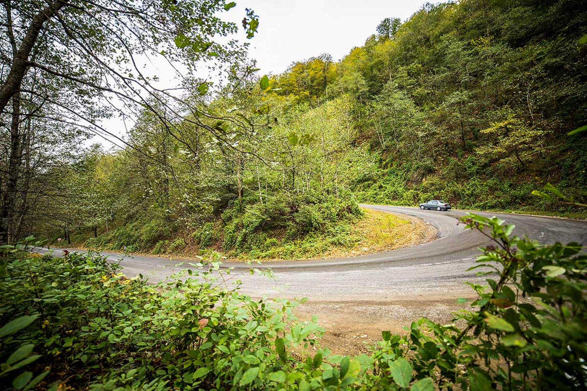طبیعت جنگلی جاده اسالم به خلخال
