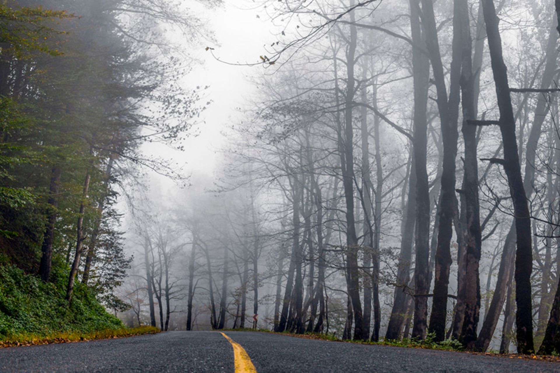 جاده جنگلی مه آلود اسالم به خلخال در پاییز