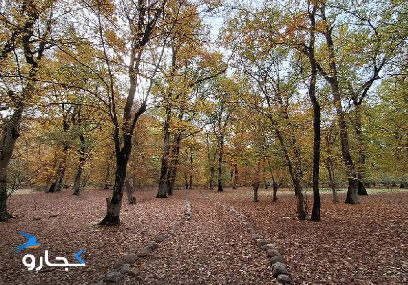 پارک جنگلی قرق