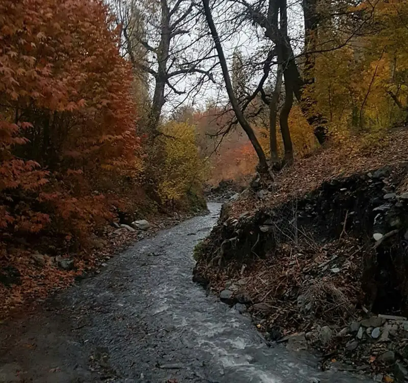 طبیعت پاییزی روستای ازغد
