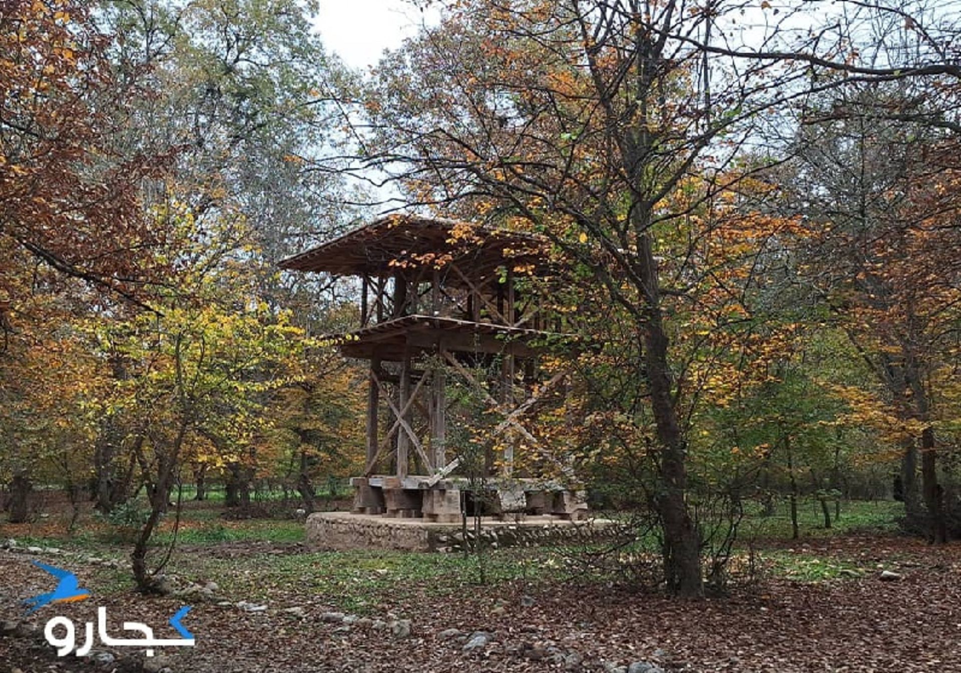 پارک جنگلی قرق