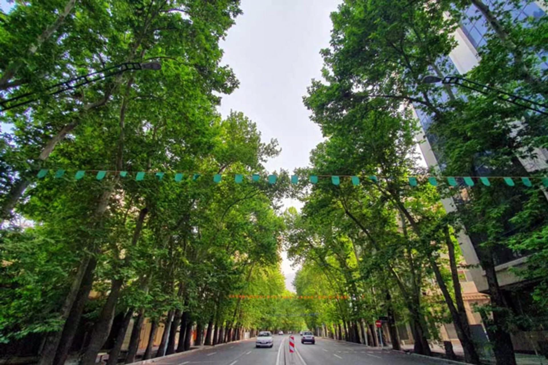 خیابان ولیعصر تهران در بهار