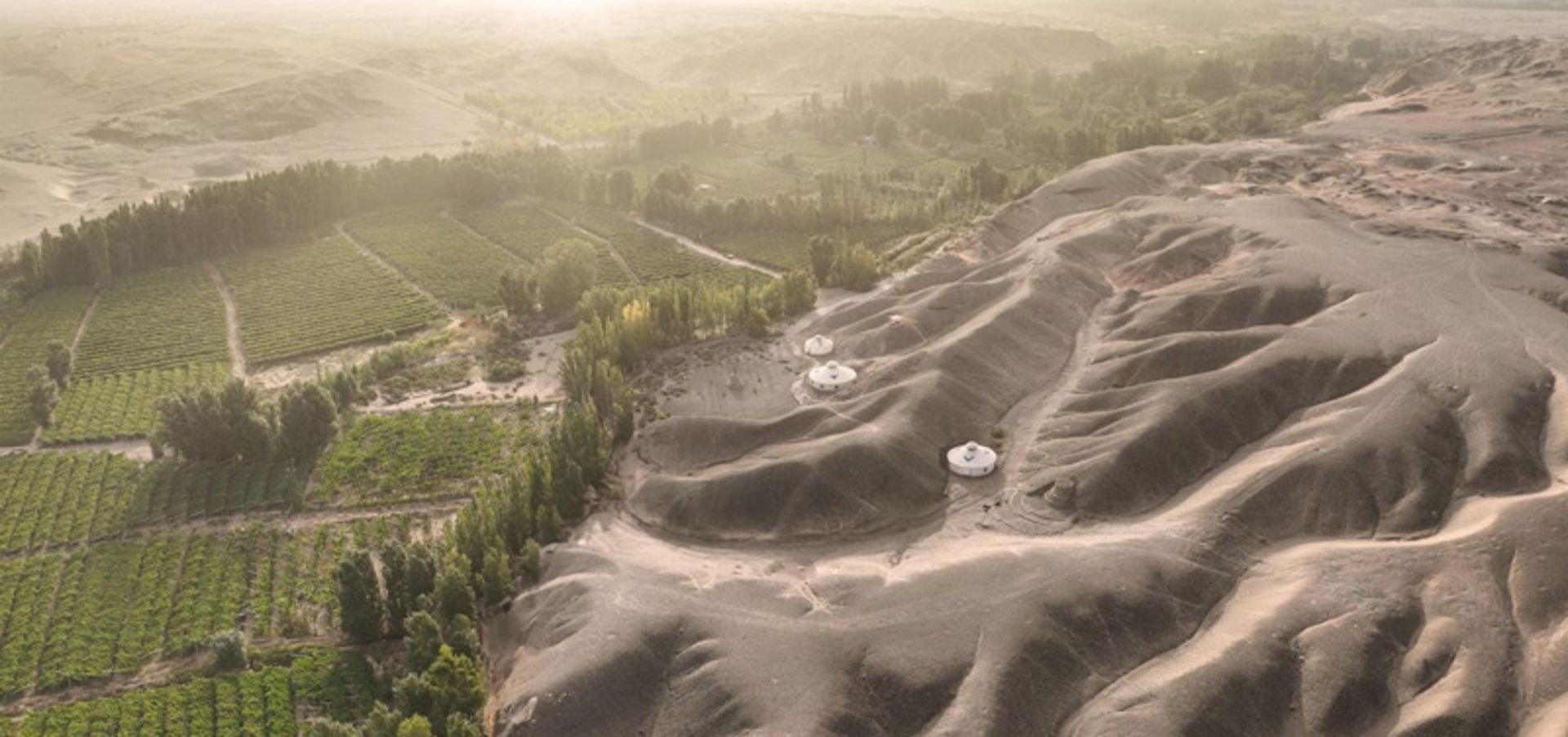 درختکاری در مقابل تپه‌های شنی صحرای گبی