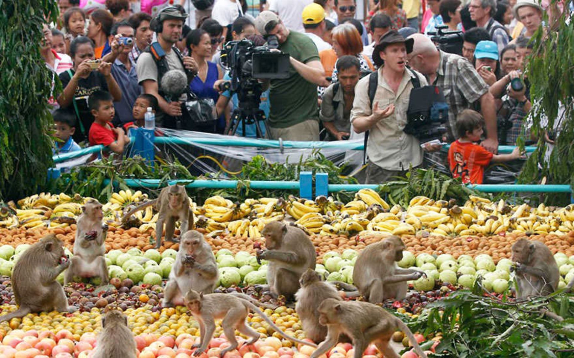 2015-06-unique-festivals-around-the-world-monkey-buffet-festival-thailand-2