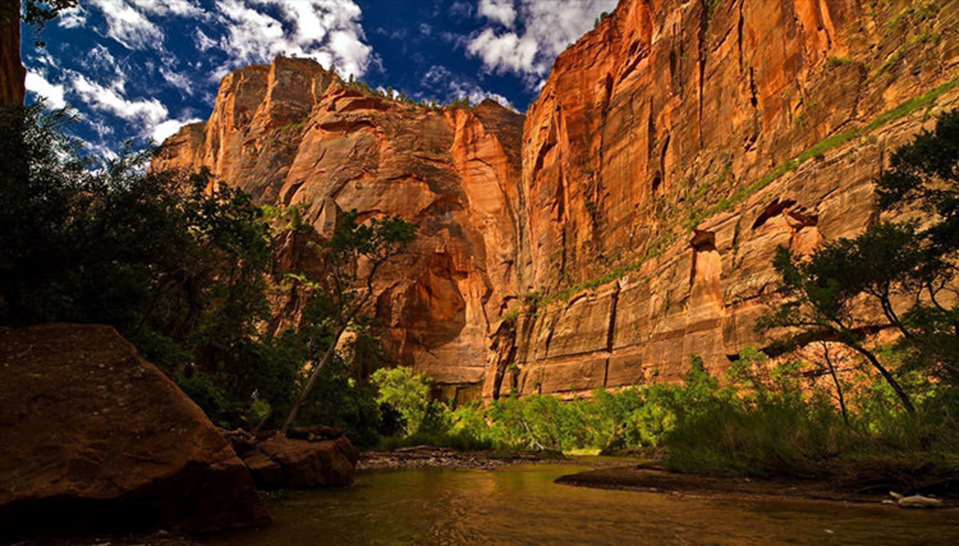 2015-06-zion-2