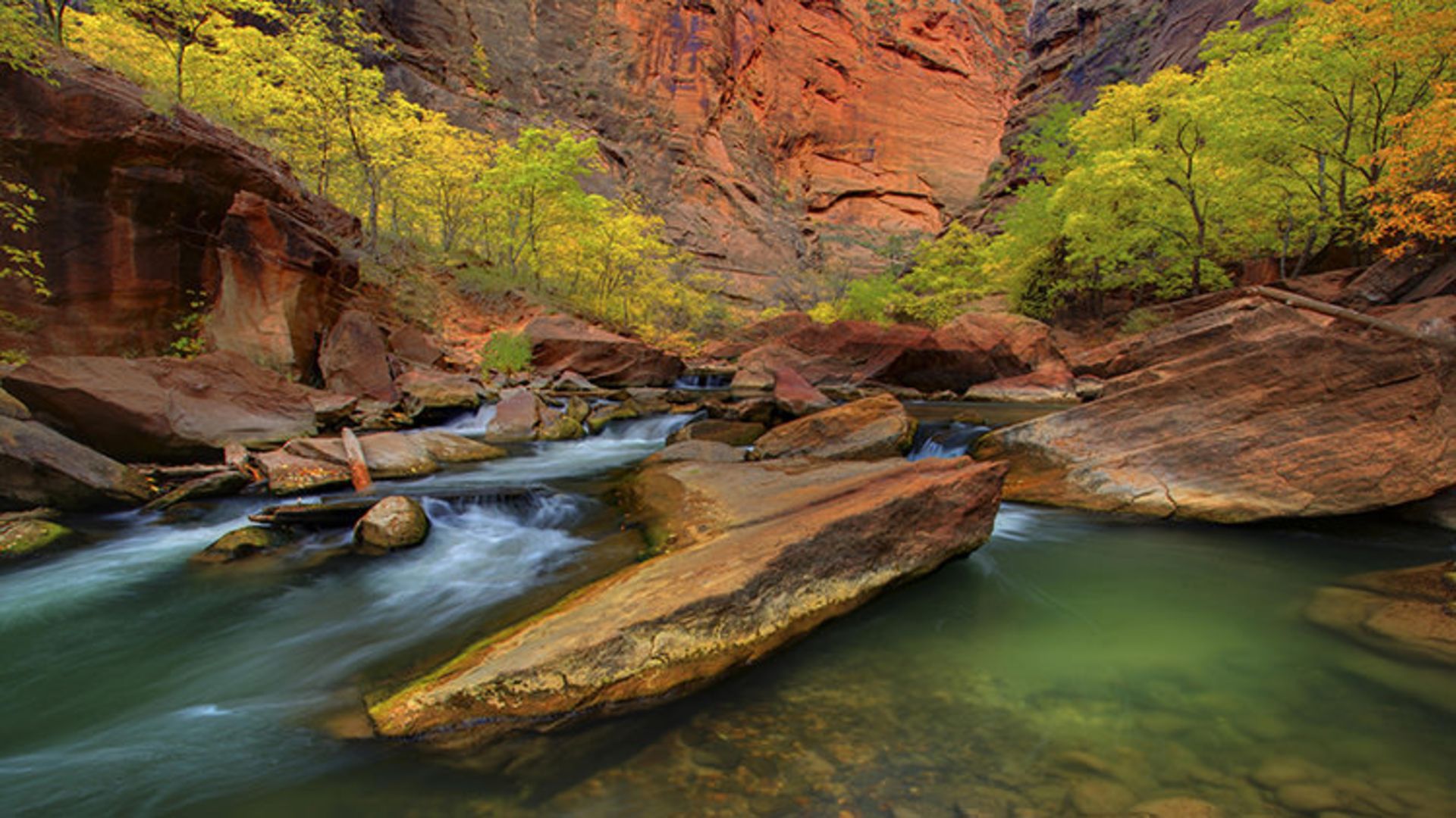 2015-06-zion-3