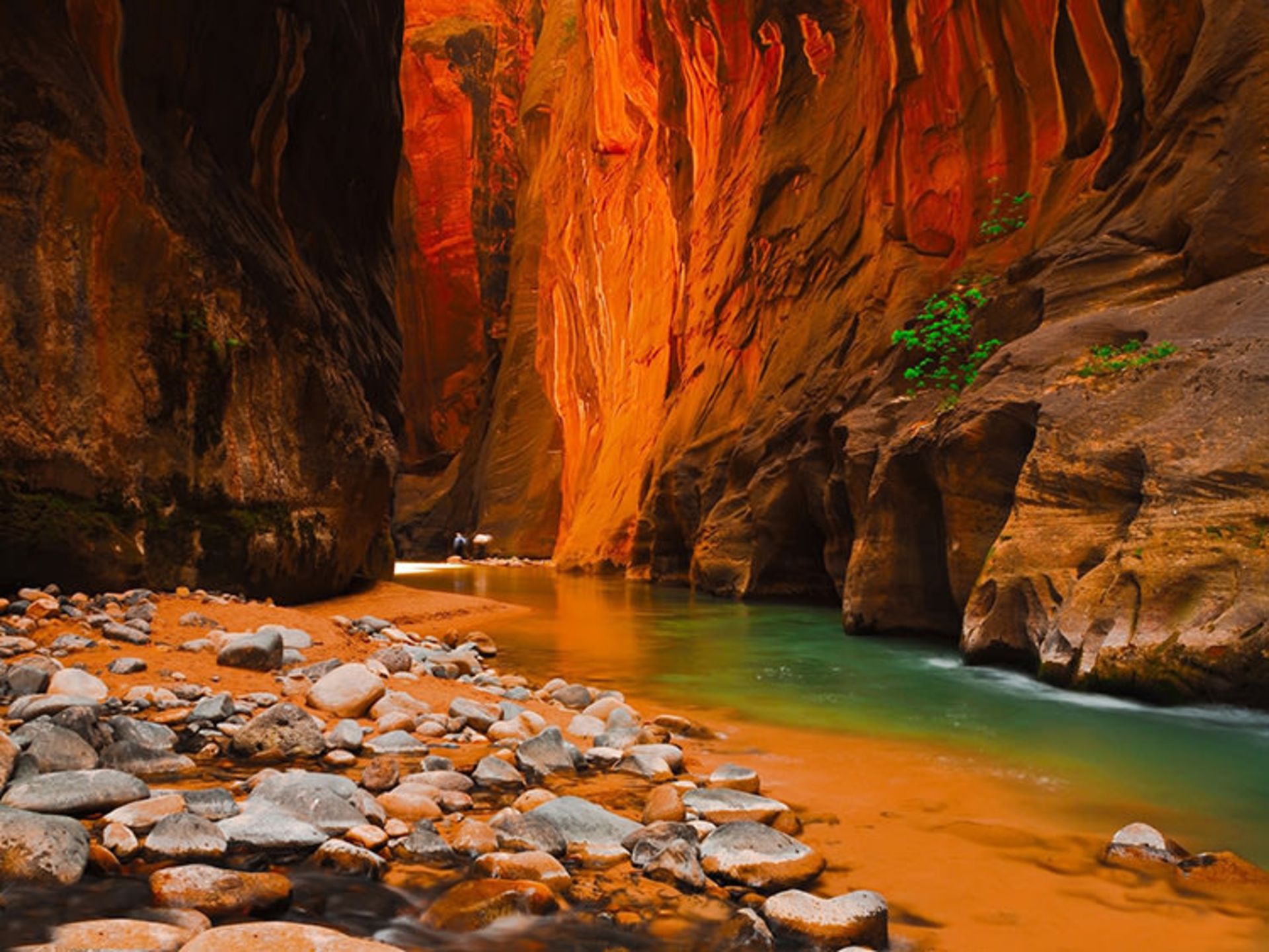 2015-06-zion-4
