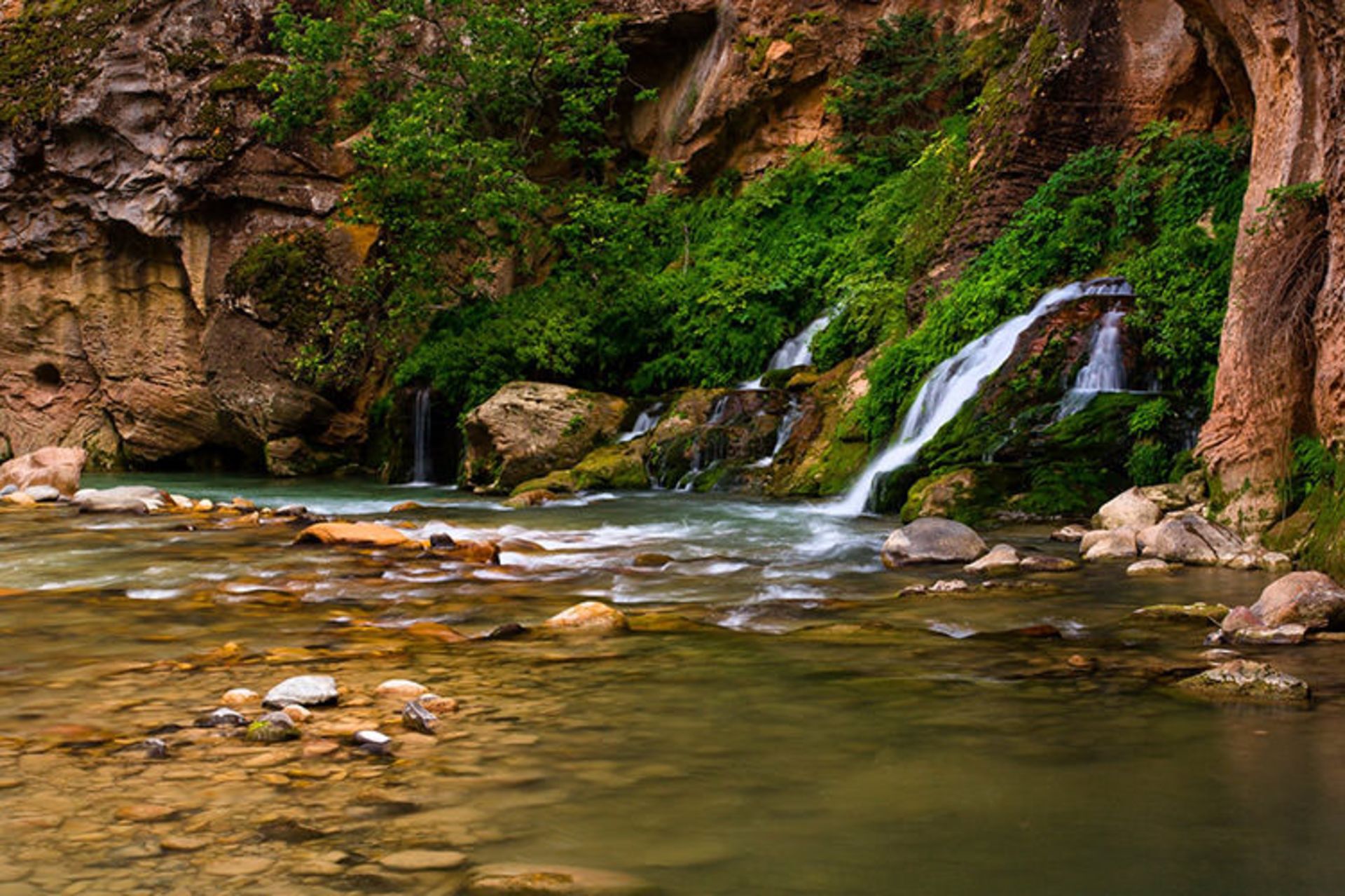2015-06-zion-5