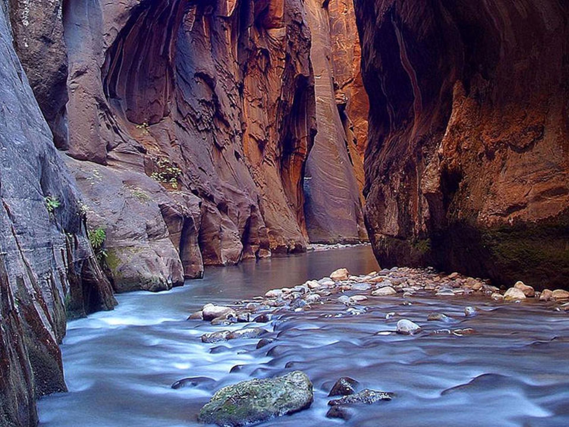 2015-06-zion-6