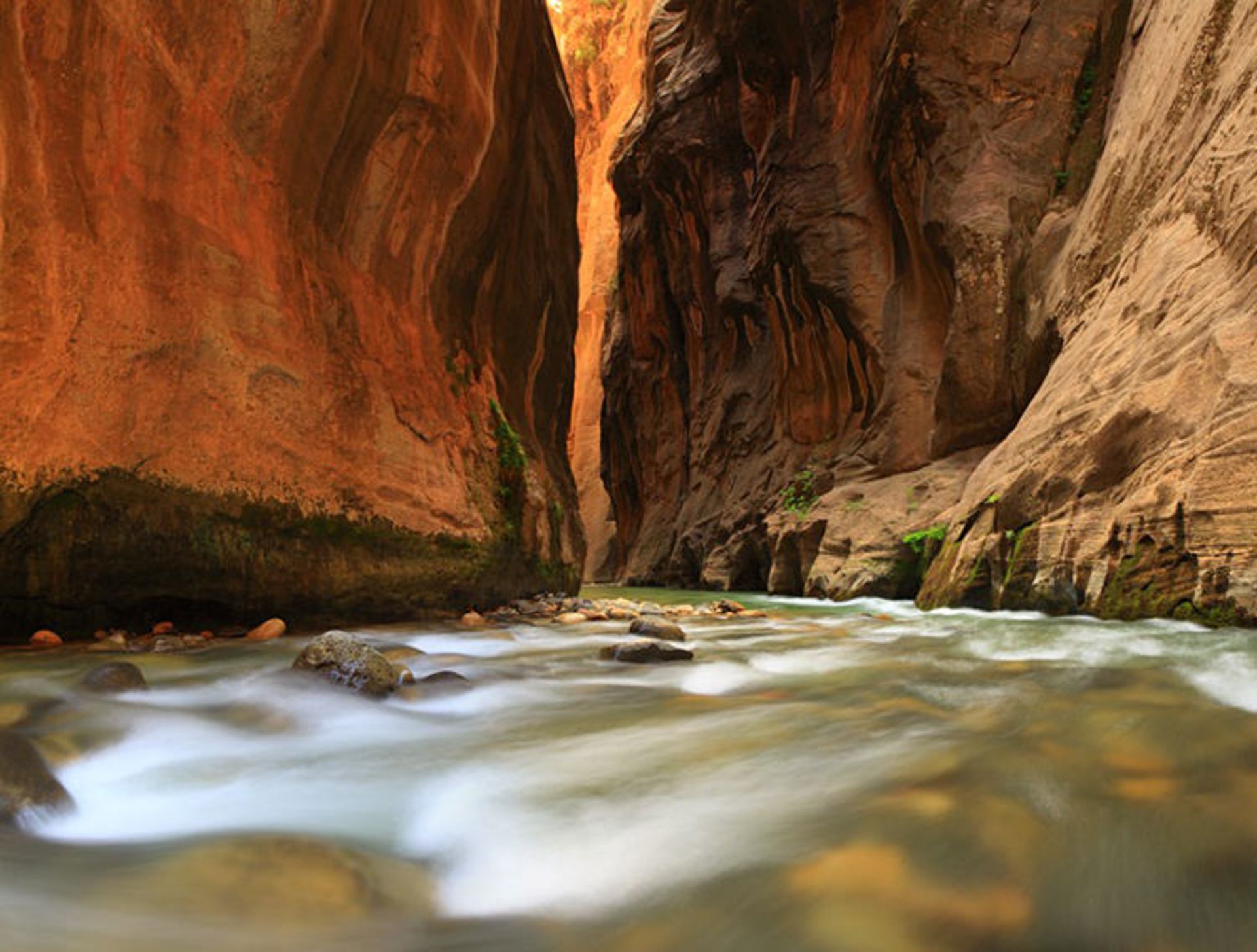2015-06-zion-7