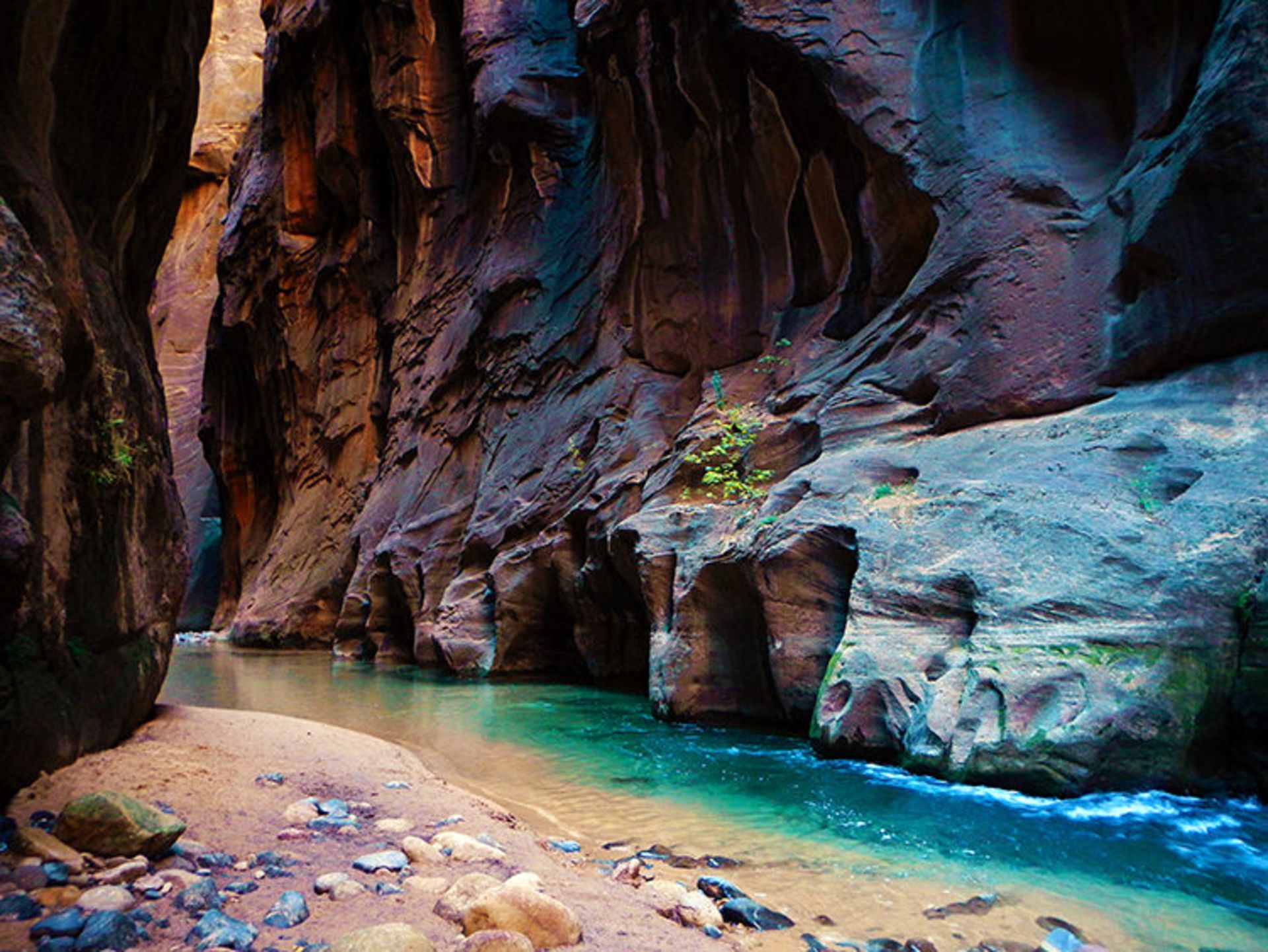 2015-06-zion-8