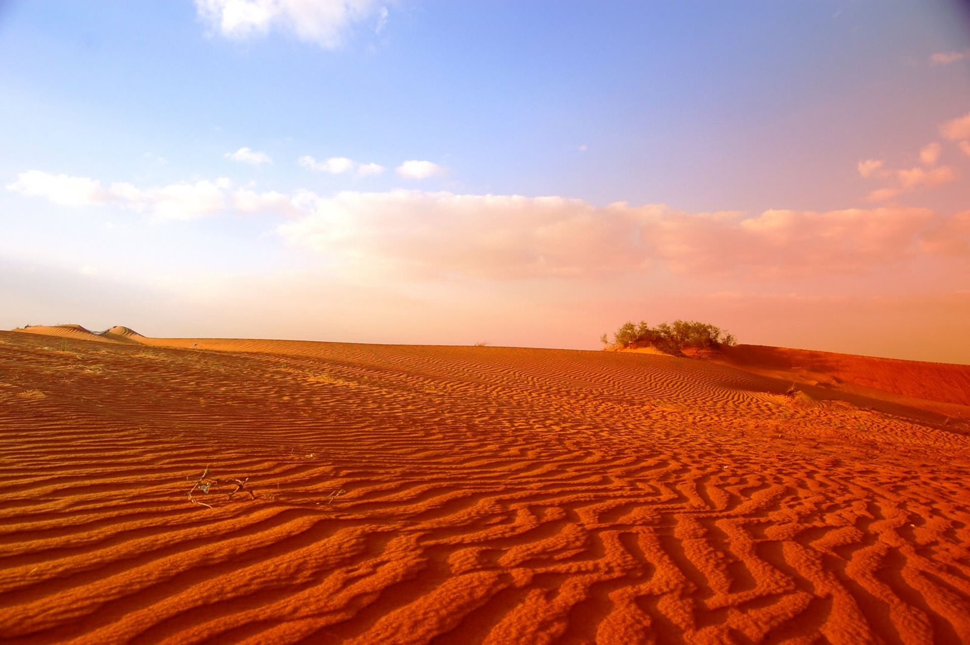 دشت عربسیتان