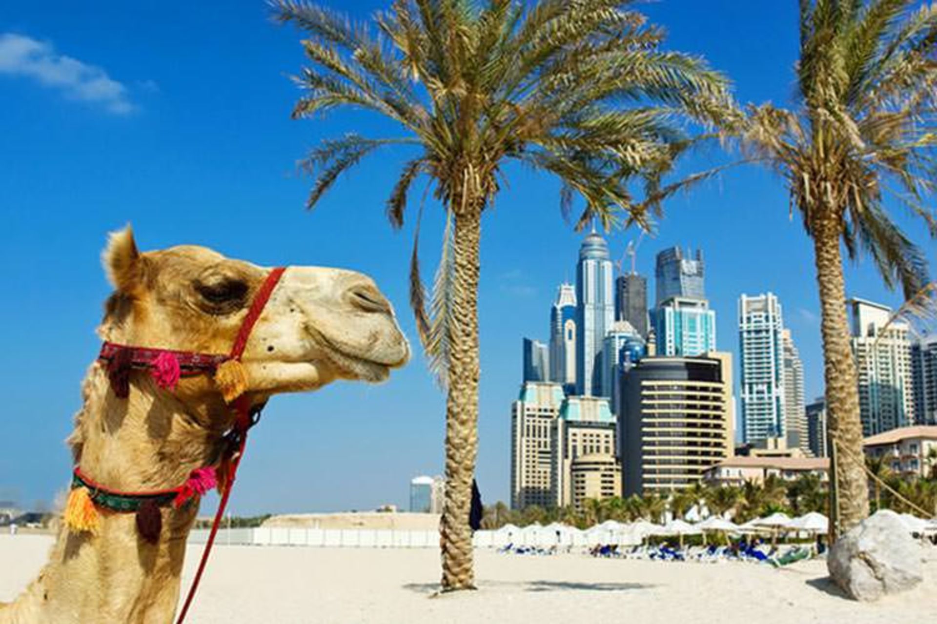 2015-07-021-14-dubai