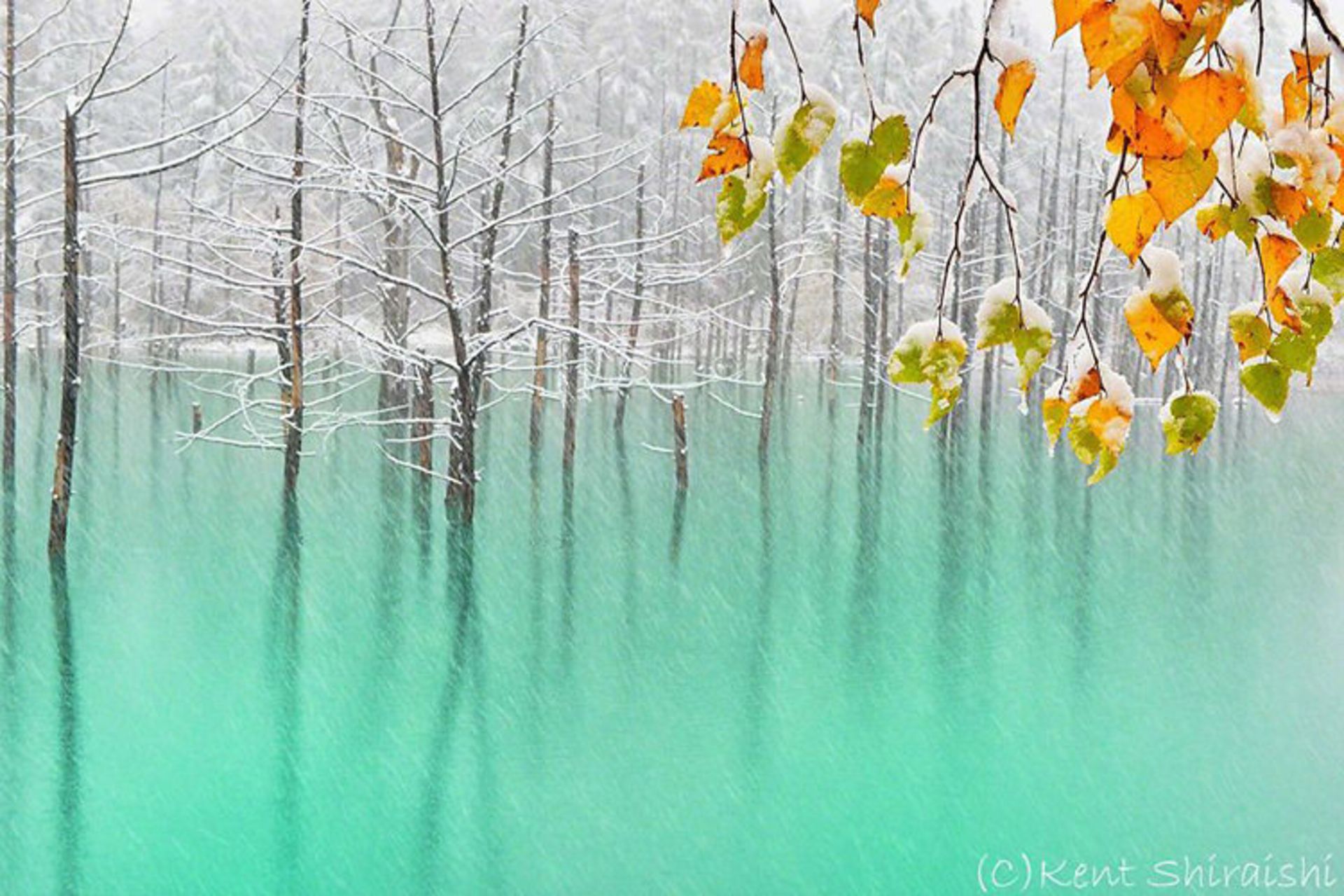 2015-07-blue-pond-11