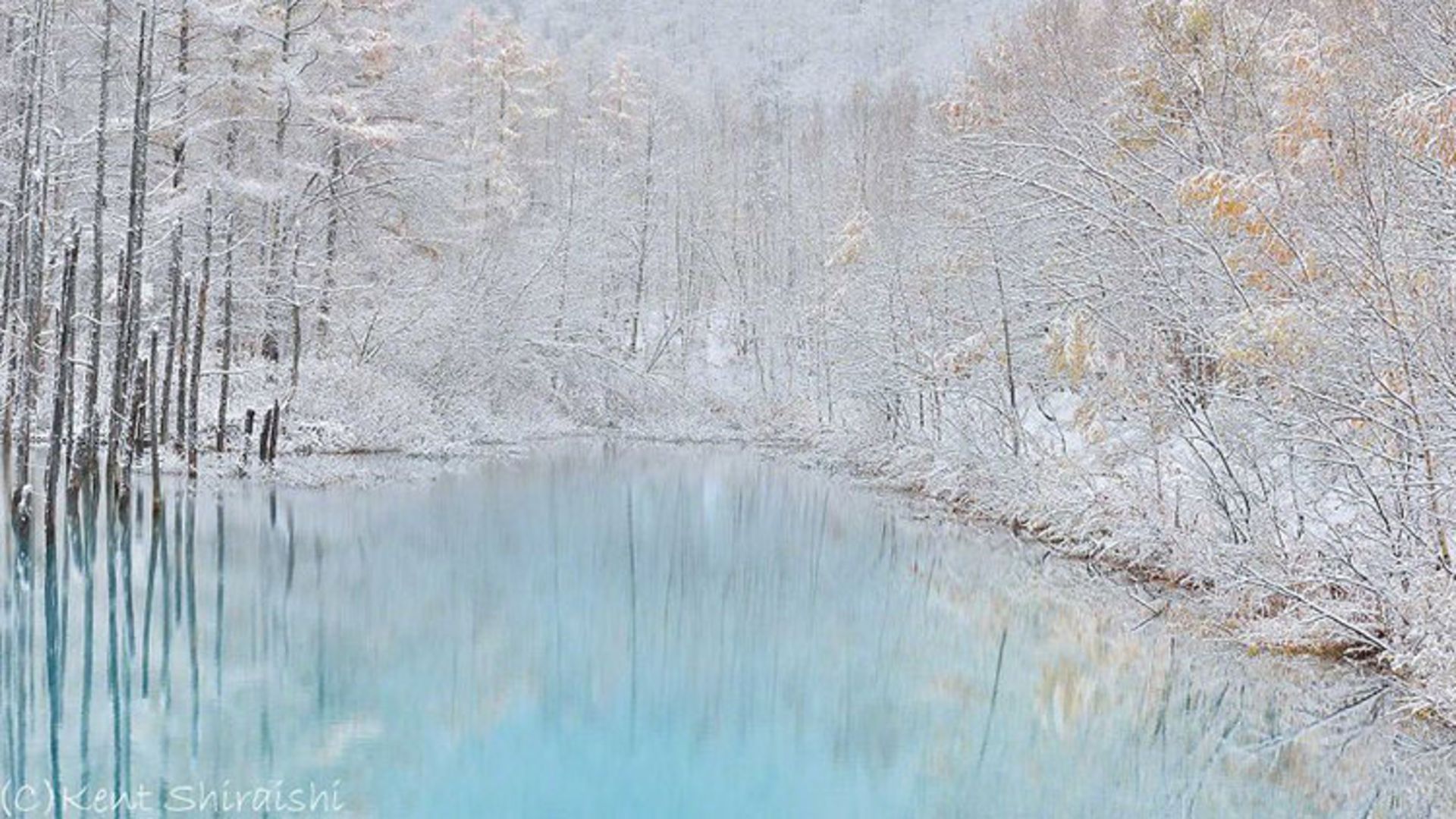 2015-07-blue-pond-13