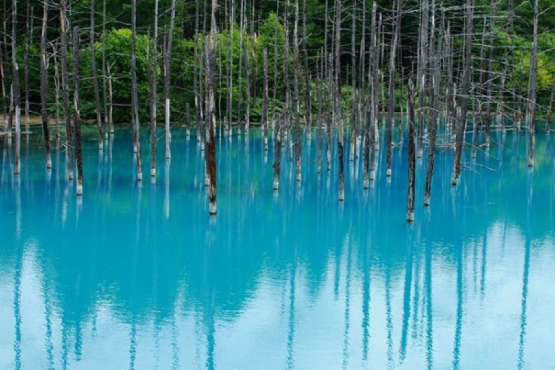 2015-07-blue-pond-2