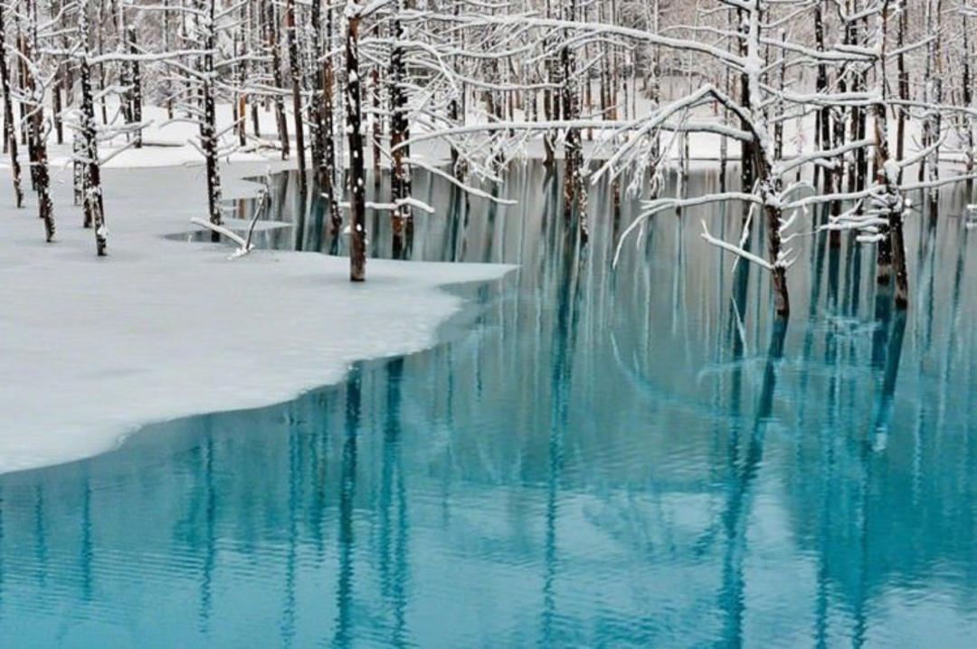 2015-07-blue-pond-3