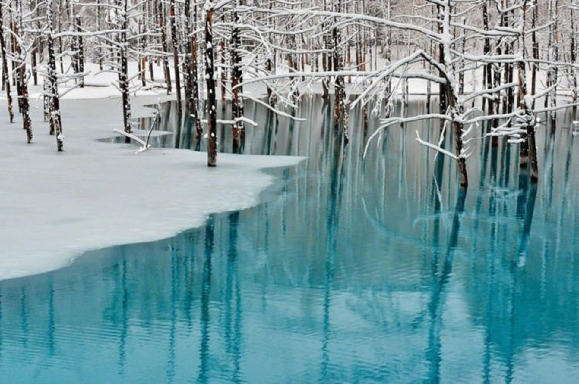 2015-07-blue-pond-3