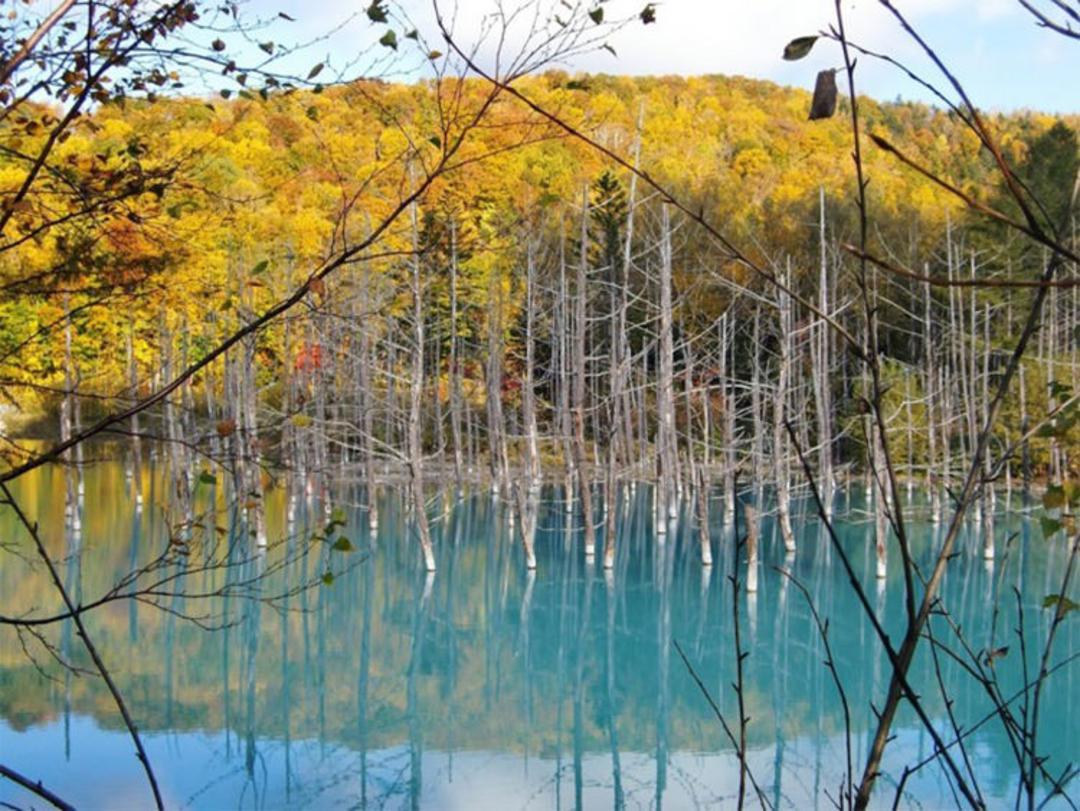 2015-07-blue-pond-4