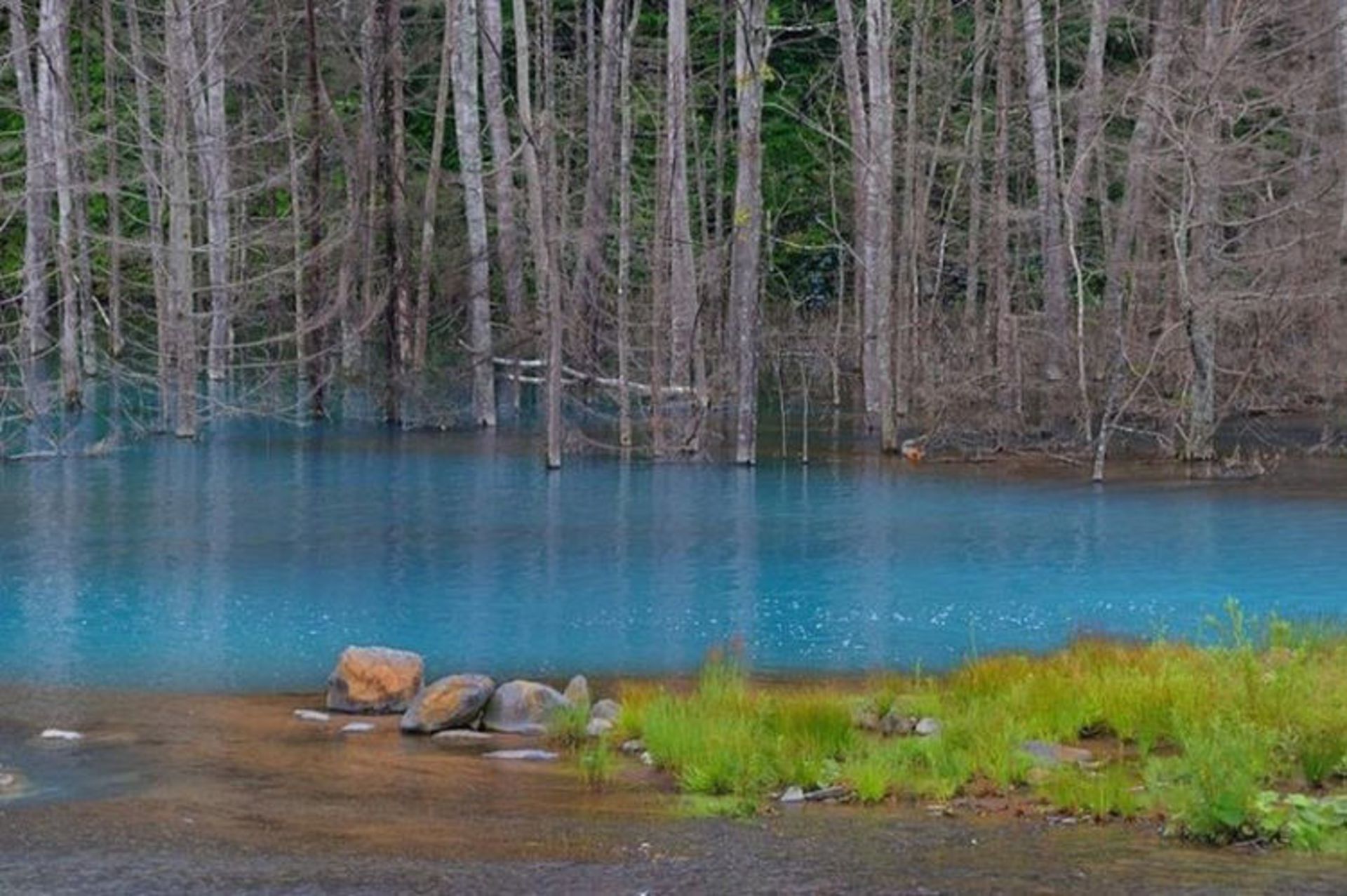 2015-07-blue-pond-5