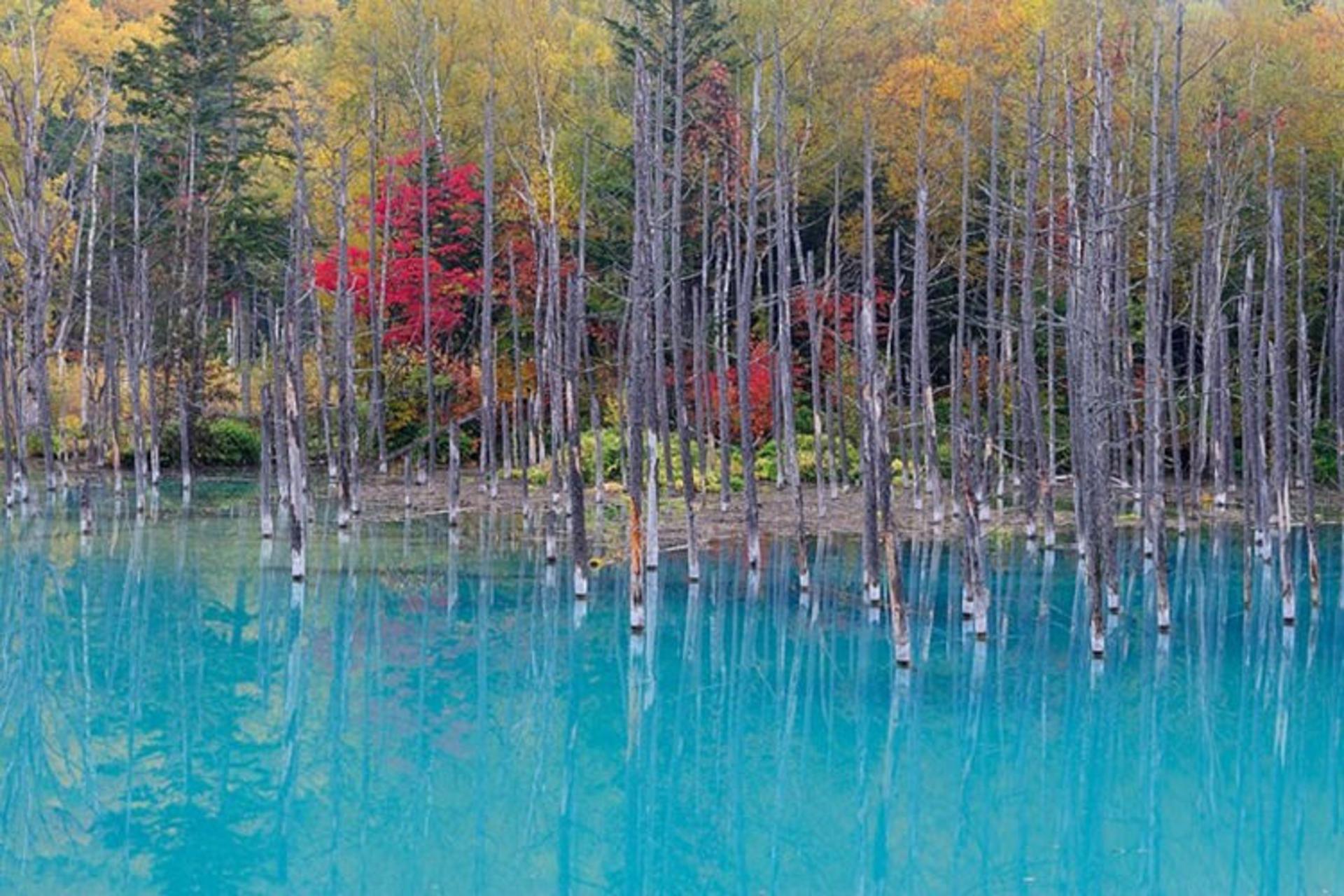 2015-07-blue-pond-6