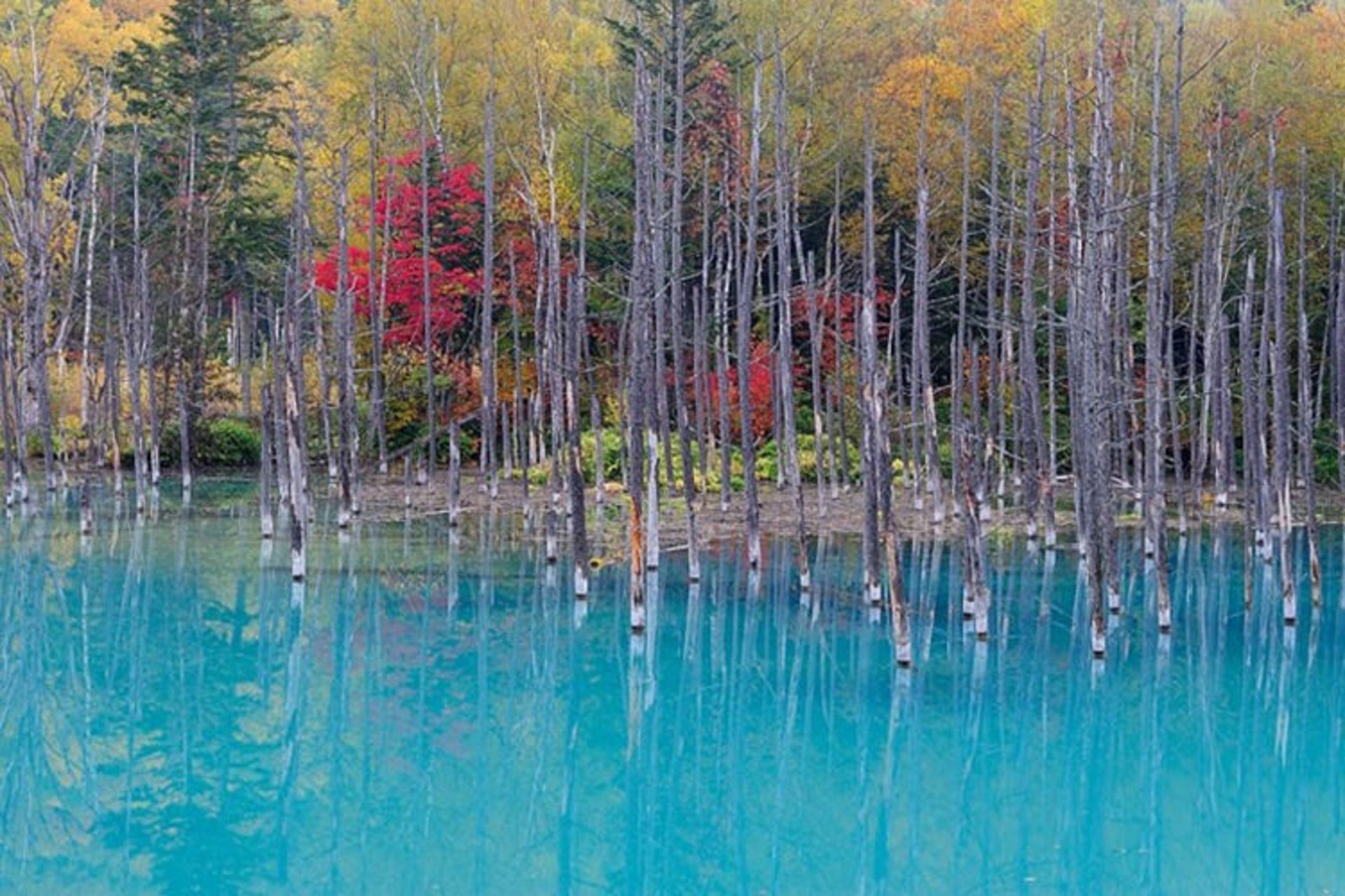 2015-07-blue-pond-6