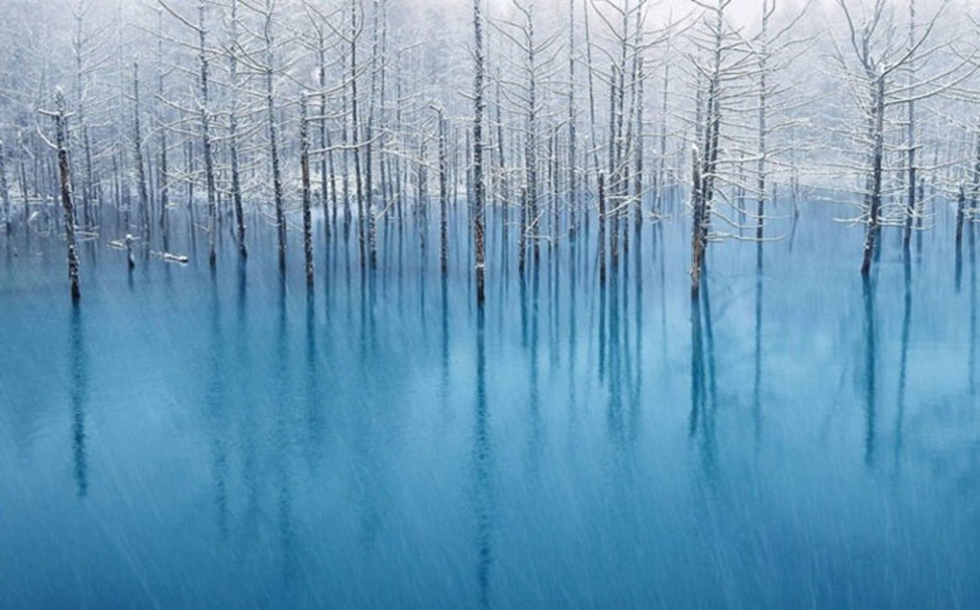 2015-07-blue-pond-7