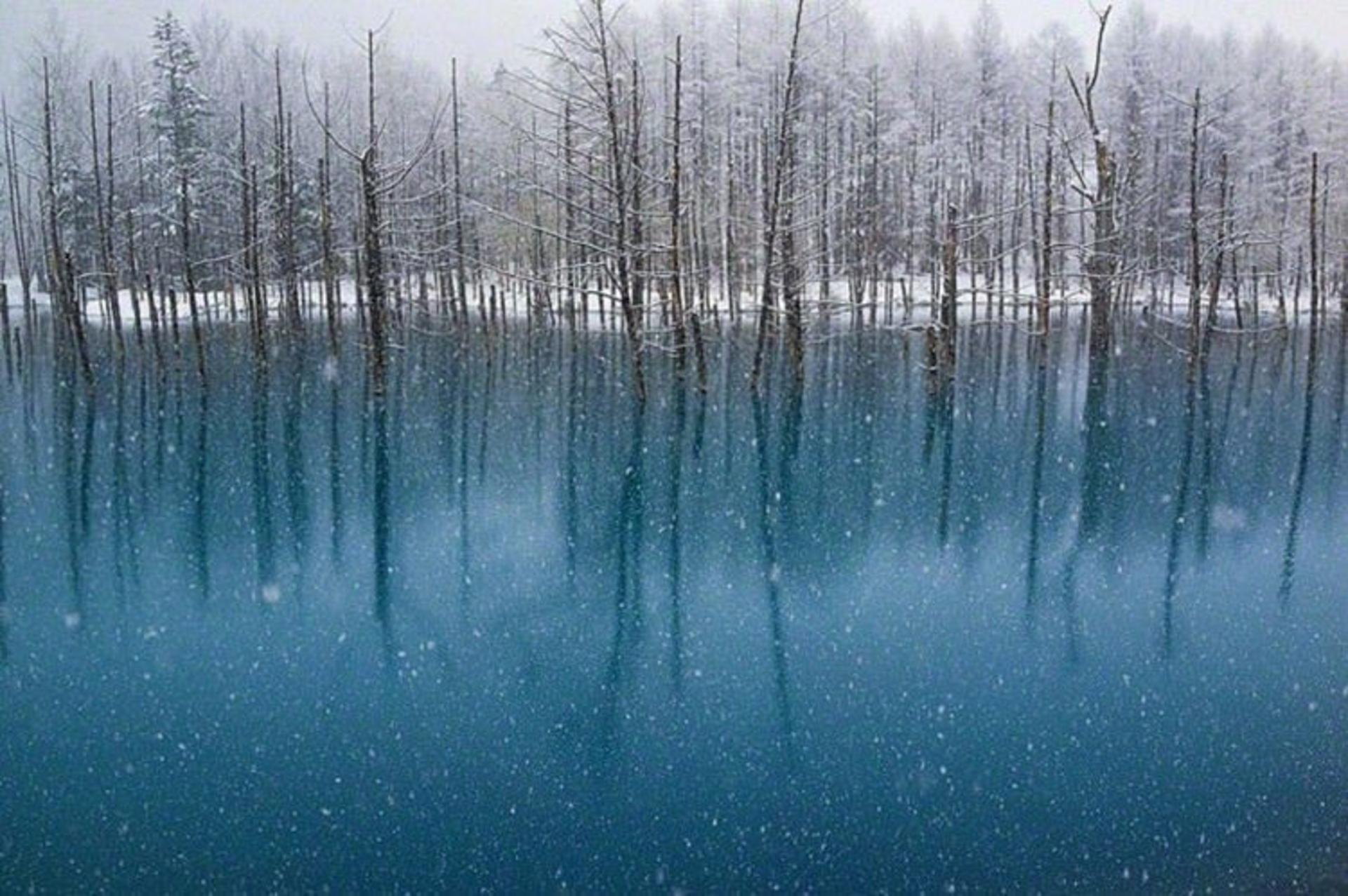 2015-07-blue-pond-8