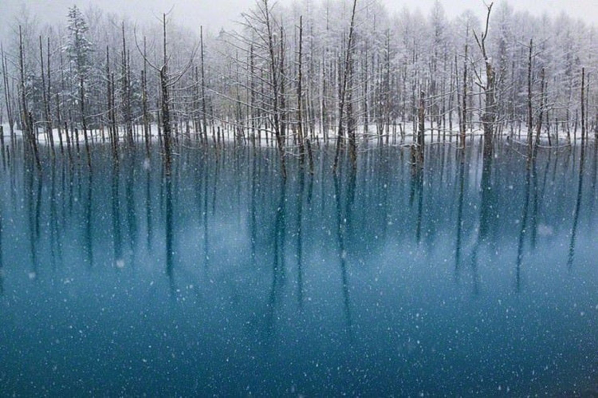 2015-07-blue-pond-8