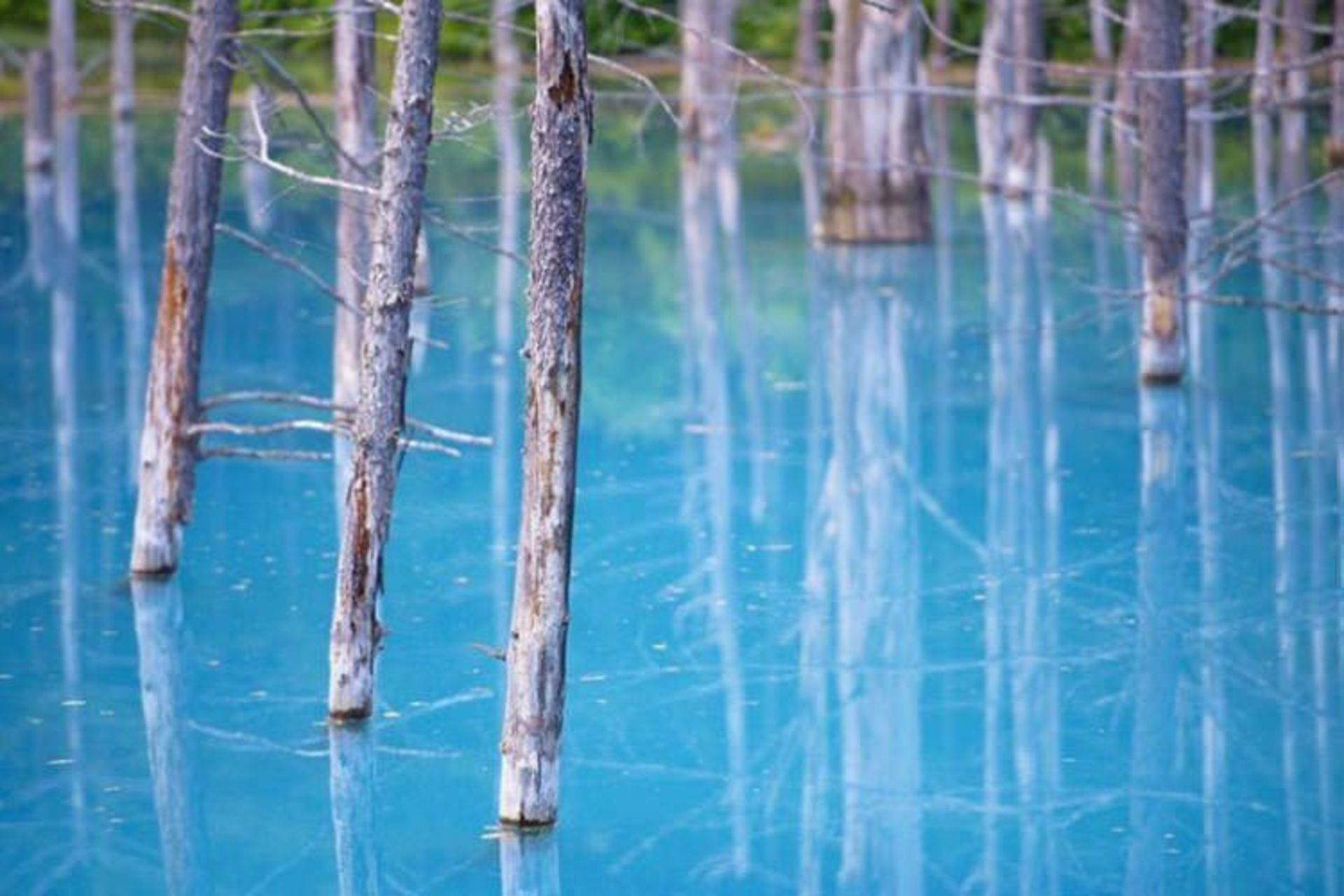 2015-07-blue-pond-9