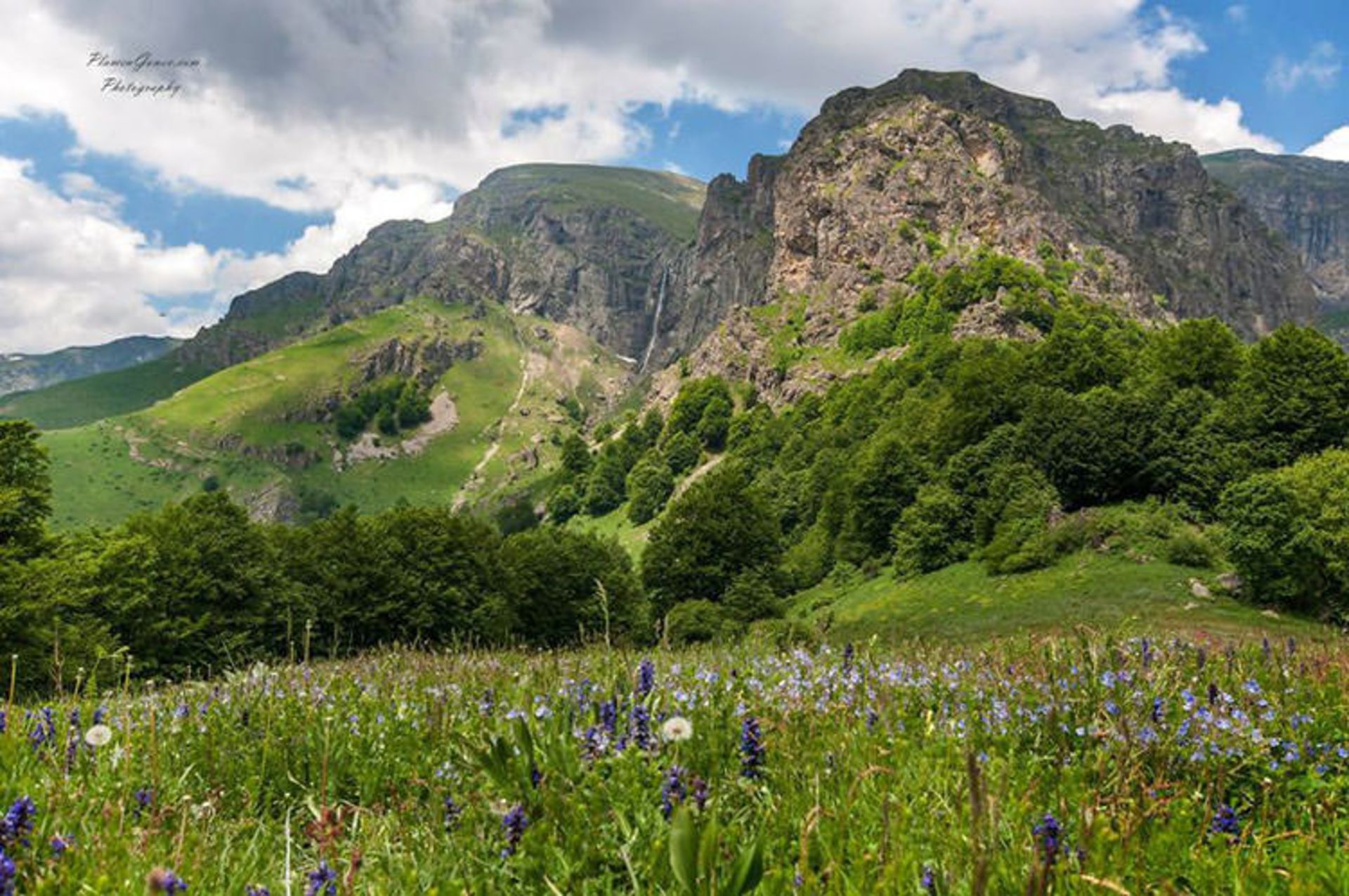 2015-07-bulgaria-11