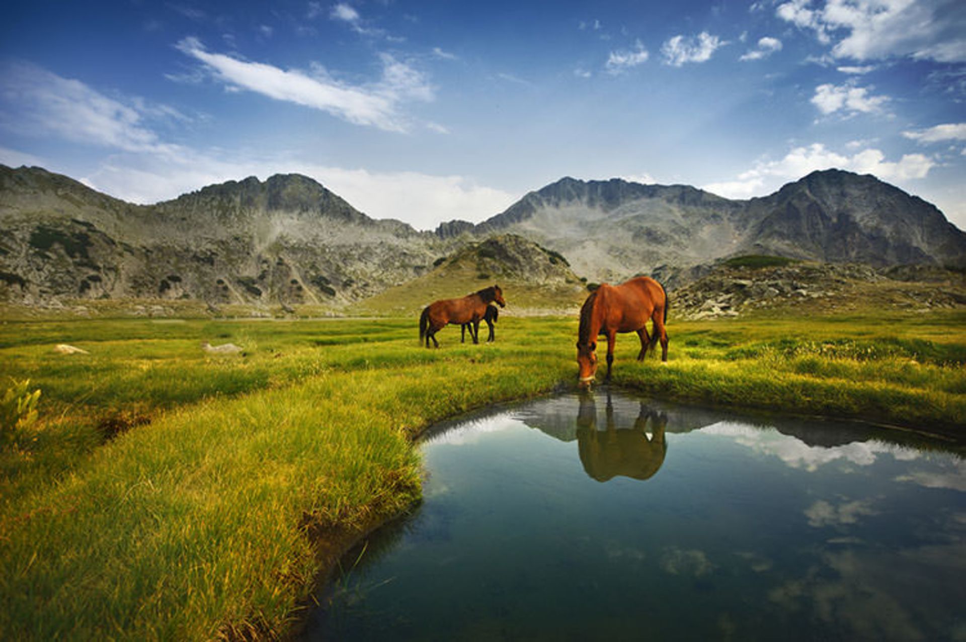2015-07-bulgaria-17