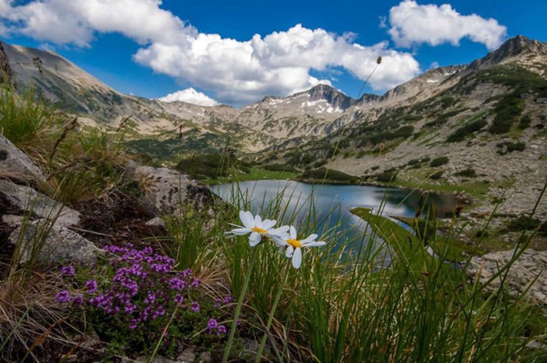 2015-07-bulgaria-4