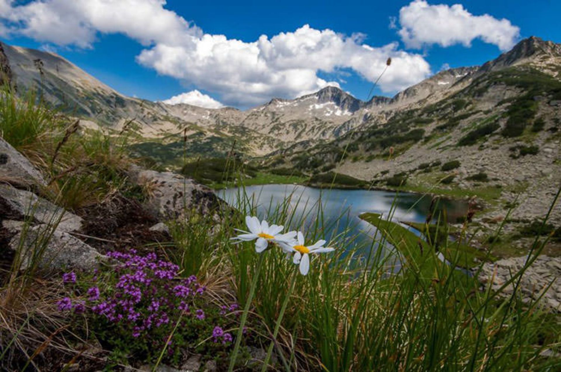 2015-07-bulgaria-4