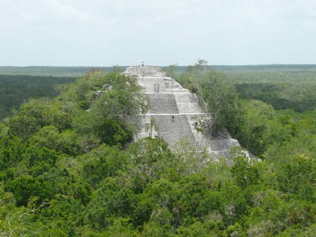 هرم Calakmul معروف به هرم بزرگ، در مکزیک