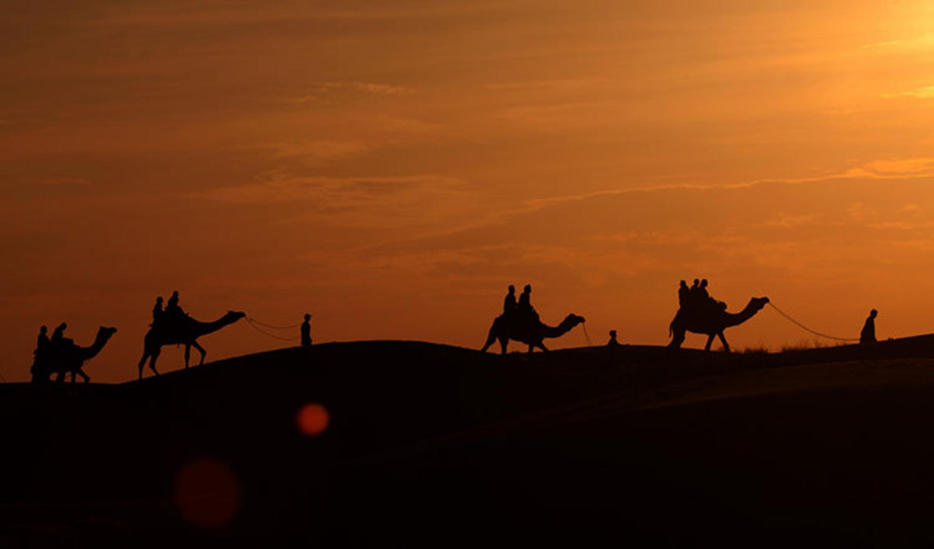 2015-07-camel-safari-1