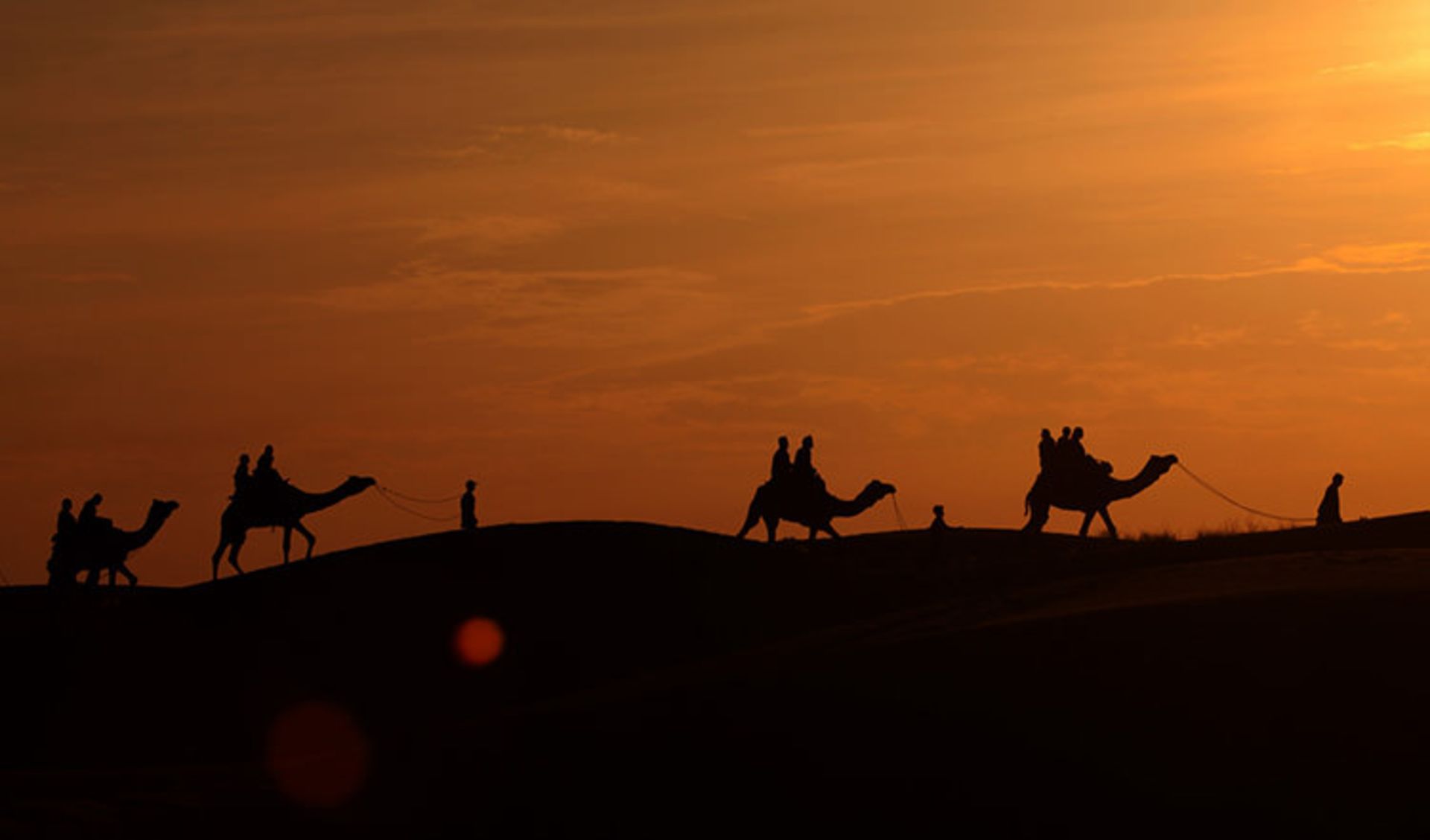 2015-07-camel-safari-1