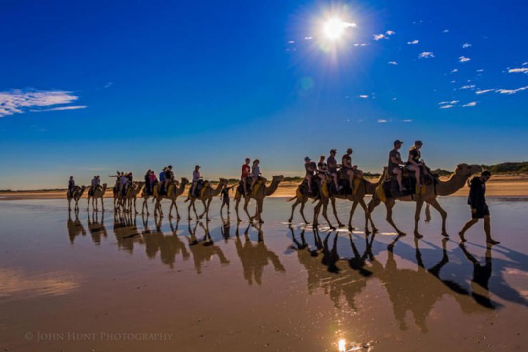 2015-07-camel-safari-3